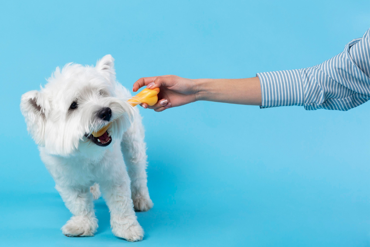 Escova de dentes para pets